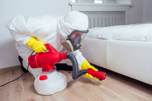 Reliable Paterson, NJ Pest Control Solutions